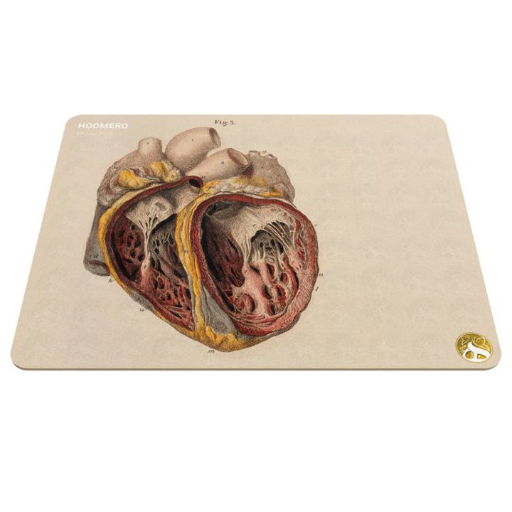 ماوس پد هومرو مدل A5617 طرح پزشکی آناتومی Hoomero Anatomy Medicine A5617 Mousepad